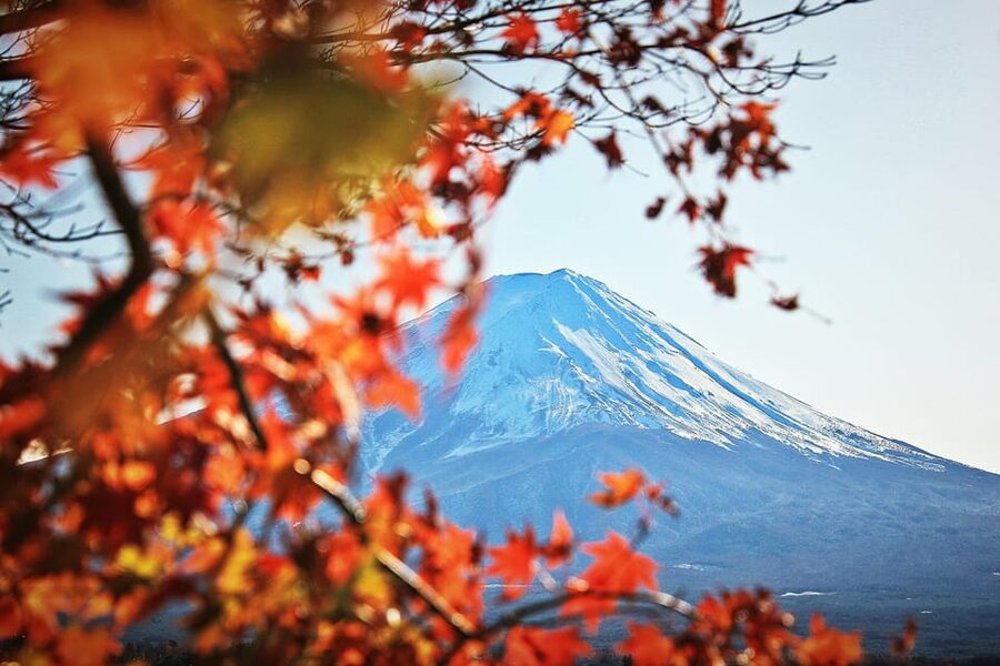 Tokyo: Mt. Fuji Hidden Gems and Aokigahara Forest Tour - Weather, timing, and the limits of a 10-hour day