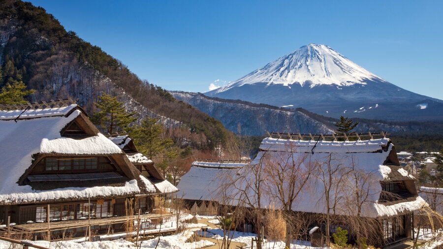 Tokyo: Mt. Fuji Hidden Gems and Aokigahara Forest Tour - Fugaku Wind Cave and the region’s working past