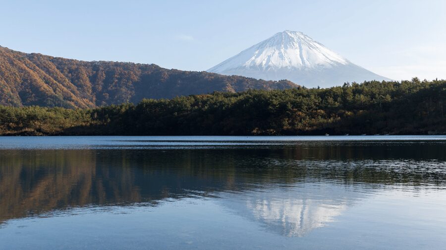 Tokyo: Mt. Fuji Hidden Gems and Aokigahara Forest Tour - Aokigahara Forest: quiet, serious, and best approached respectfully