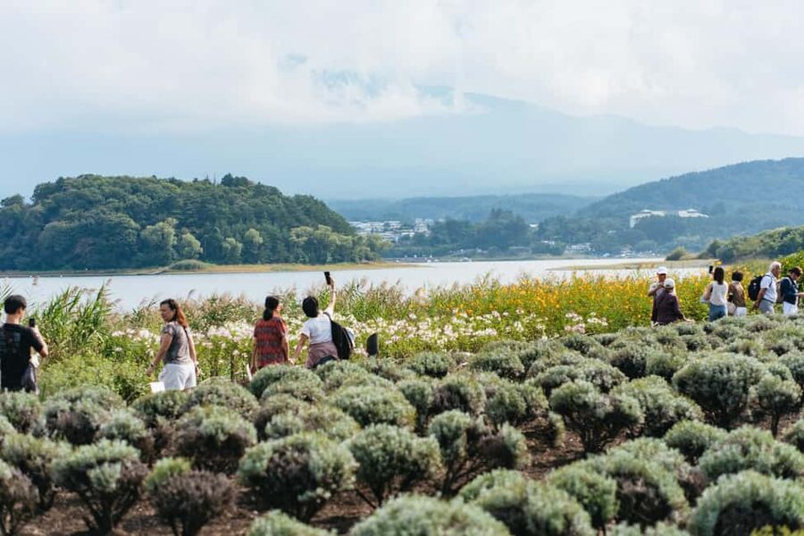 Tokyo: Mt. Fuji, Kamakura, Big Buddha, & Lake Ashi Day Trip - Oishi Park and Lake Kawaguchi photo time