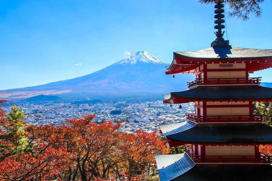 Tokyo:Mt.Fuji,Kawaguchiko Oishi Park,Arakurayama Sengen Park - What the guides add to a long day