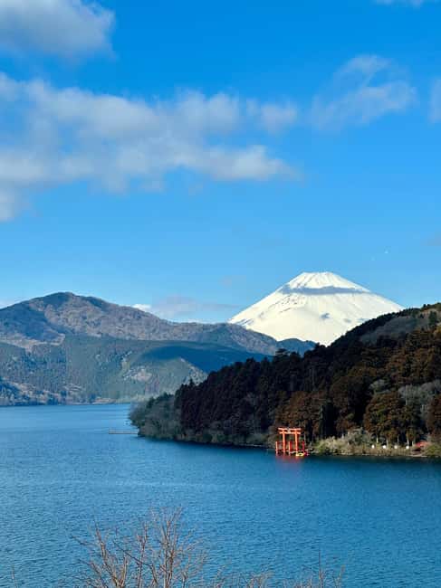 Tokyo: Mt. Fuji & Lake Kawaguchi Private Tour with Transfer - Fuji-Q Highland: useful stop or unnecessary detour?