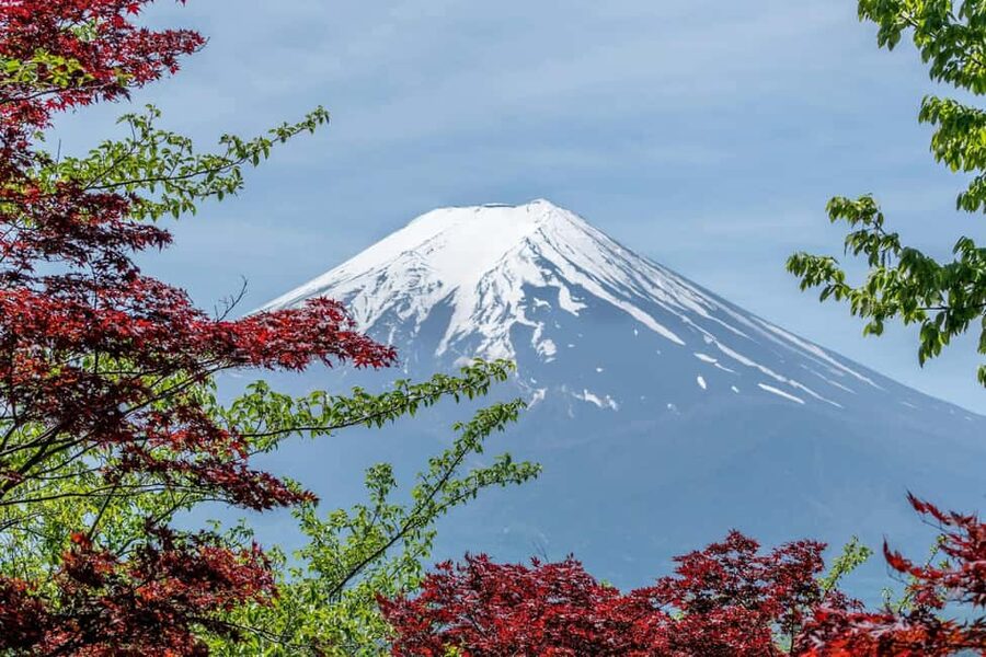 Tokyo: Mt. Fuji & Lake Kawaguchi Private Tour with Transfer - Oshino Hakkai and the smaller villages near Fuji