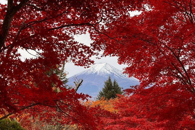 Tokyo: Mt.Fuji & Lake Kawaguchiko 1-Day Bus Tour w/Optional Lunch - Why this bus tour works from Tokyo