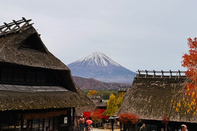 Tokyo: Mt.Fuji & Lake Kawaguchiko 1-Day Bus Tour w/Optional Lunch - Oishi Park’s flowers and changing seasons