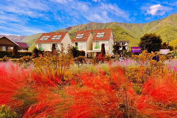 Tokyo: Mt.Fuji & Lake Kawaguchiko 1-Day Bus Tour w/Optional Lunch - Who will enjoy this Fuji day trip most?