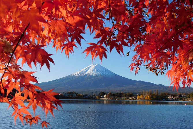 Tokyo: Mt.Fuji & Lake Kawaguchiko 1-Day Bus Tour w/Optional Lunch - Lunch and lakeside time at Kawaguchiko Craft Park