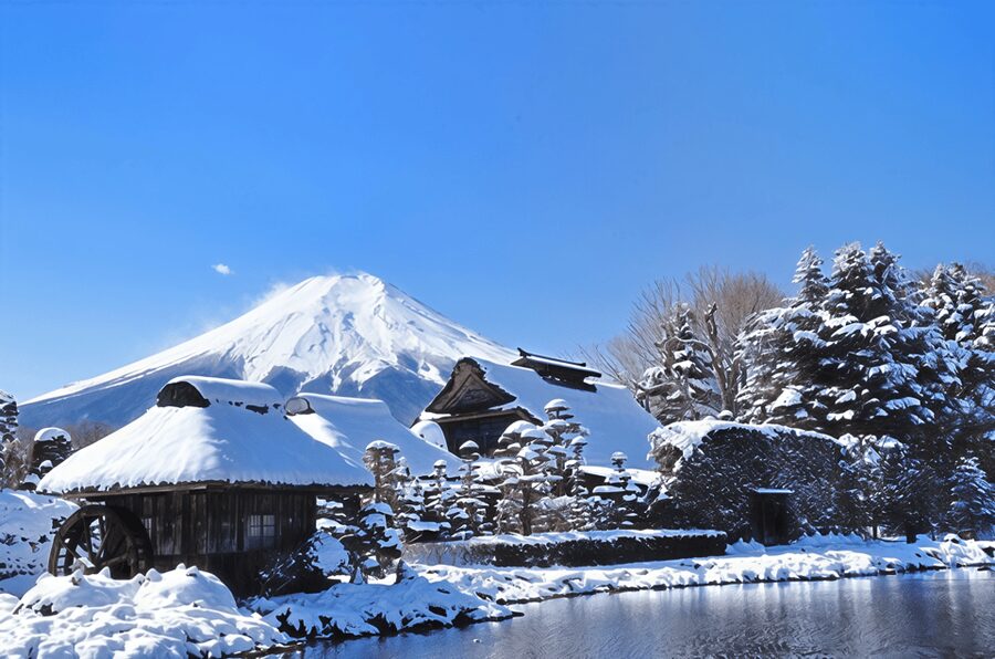 Tokyo: Mt Fuji Lake Kawaguchiko Tour & Arakuyama Sengen Park - Starting at Tokyo Station before the crowds
