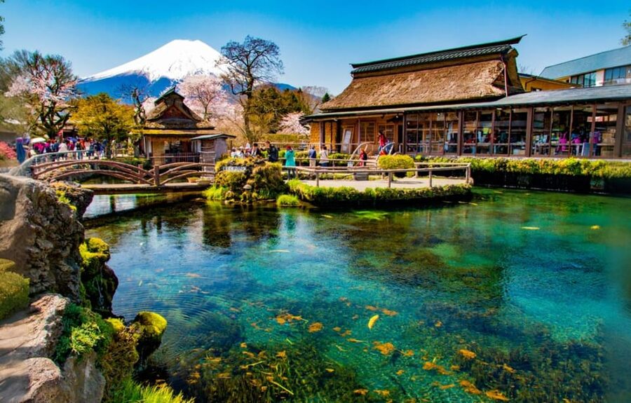Tokyo: Mt Fuji Lake Kawaguchiko Tour & Arakuyama Sengen Park - Oshino Hakkai, ponds and mountain reflections