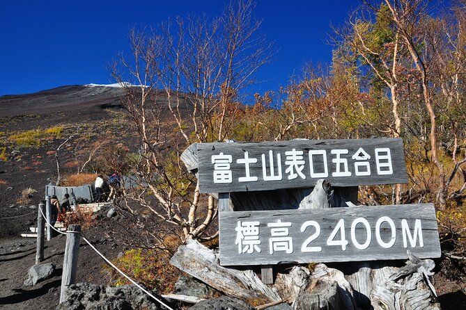Tokyo: Mt. Fuji, Oshino Hakkai and Gotemba Outlets 1-Day Bus Tour - Five things to know before you book