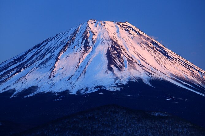 Tokyo: Mt. Fuji, Oshino Hakkai and Gotemba Outlets 1-Day Bus Tour - What this Mt. Fuji day trip is really designed to do