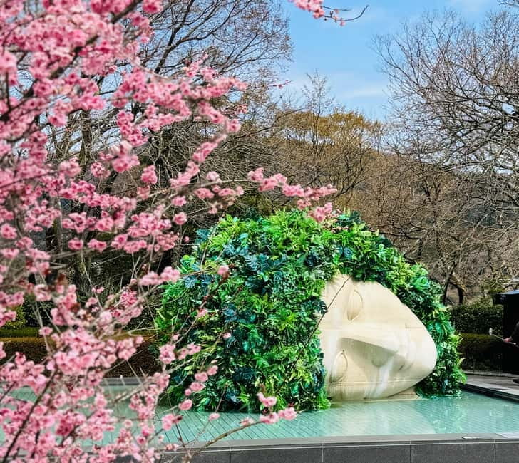 Tokyo: Mt. Fuji, Owakudani, Hakone Shrine, & Open-Air Museum - Why this Hakone day trip works from Tokyo