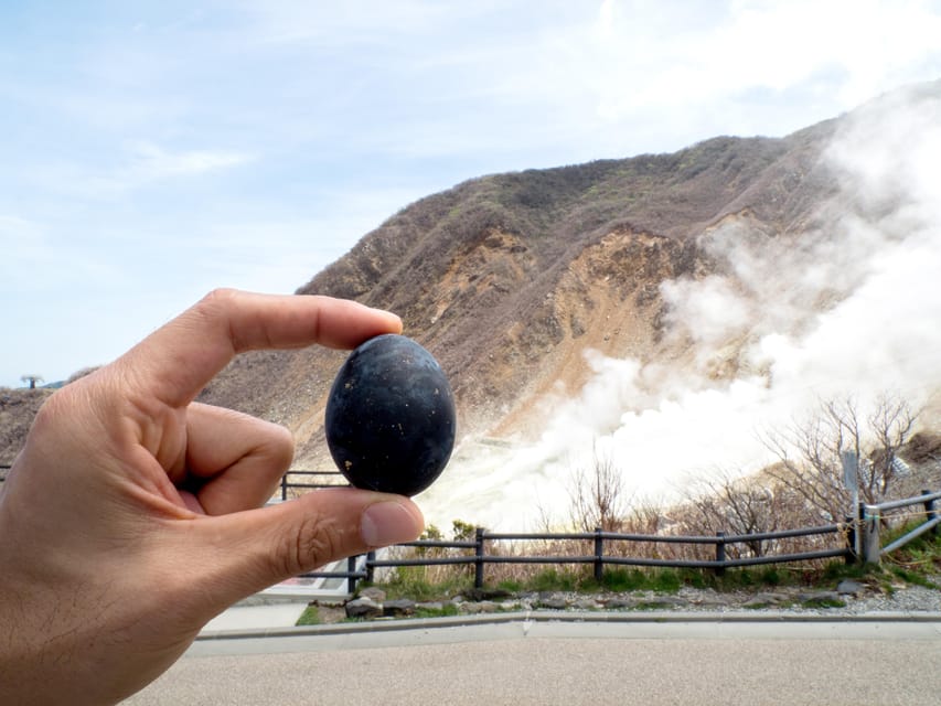 Tokyo: Mt. Fuji, Owakudani, Hakone Shrine, & Open-Air Museum - Who should book this experience?