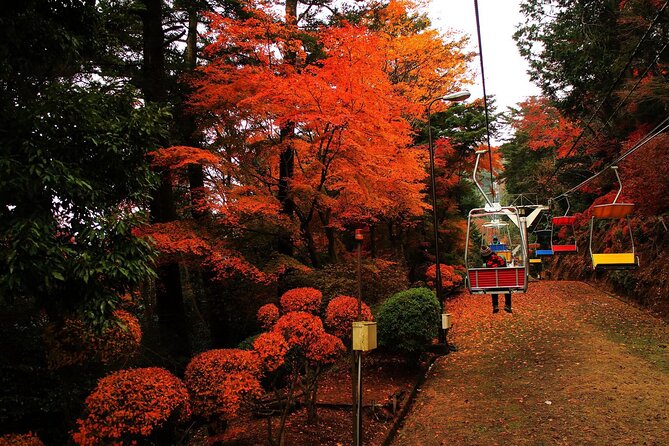 Tokyo: Mt Takao Tour with Ramen and Tattoo-Okay Hot Spring - Key points to know before booking