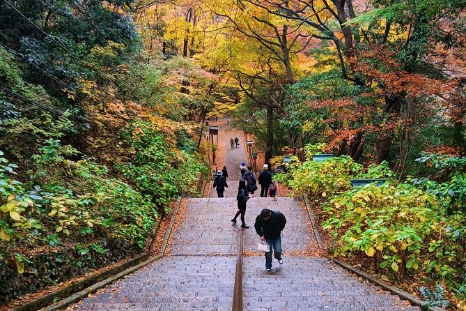 Tokyo: Mt Takao Tour with Ramen and Tattoo-Okay Hot Spring - The Takao 599 Museum: a quick introduction to the mountain