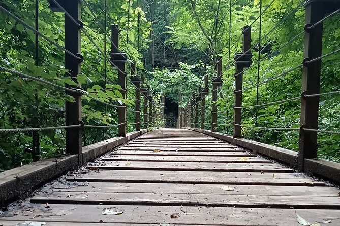 Tokyo: Mt Takao Tour with Ramen and Tattoo-Okay Hot Spring - Walking past suspension bridges and mountain views
