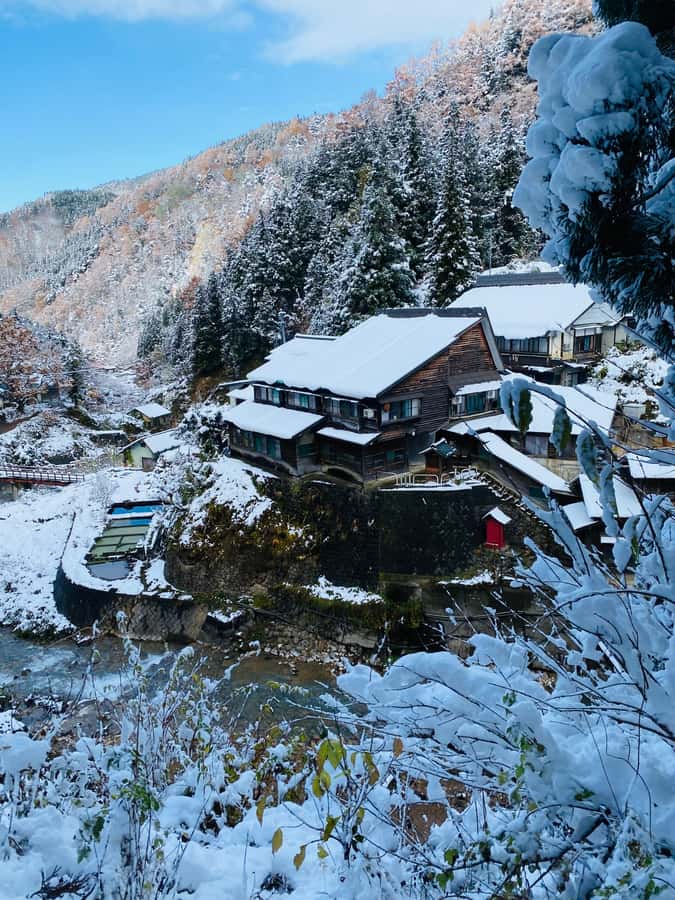 Tokyo/Nagano: private Tour with Snow Monkey Park & Temples - Key points to know before booking