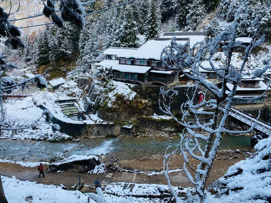 Tokyo/Nagano: private Tour with Snow Monkey Park & Temples - Why this private Nagano day trip works