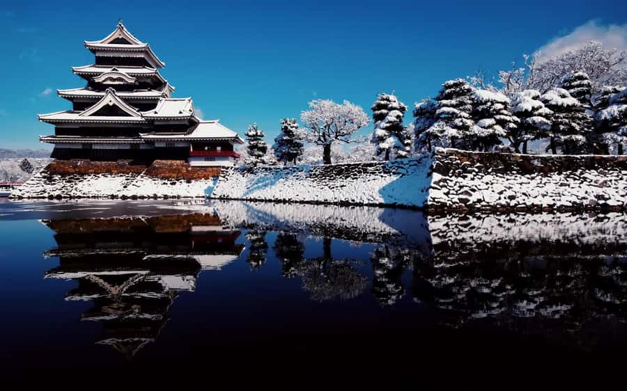 Tokyo/Nagano: private Tour with Snow Monkey Park & Temples - Matsushiro Castle Ruins and Nagano’s past