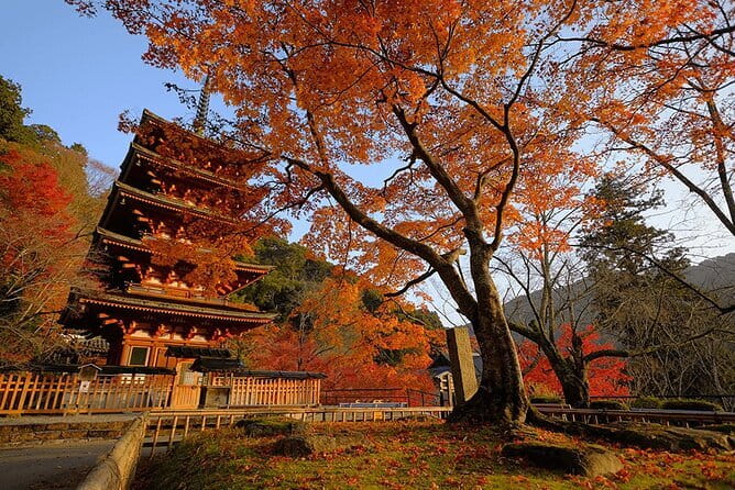 Tokyo Nagano Snow Monkey Park and Zenkoji Temple English driver - Lunch in Nagano and the unusual stop name
