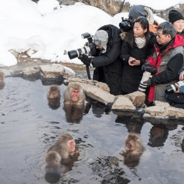 Tokyo: Nagano Snow Monkeys and Zenkoji Tour with Temples - Zenko-ji Temple gives the day a spiritual center