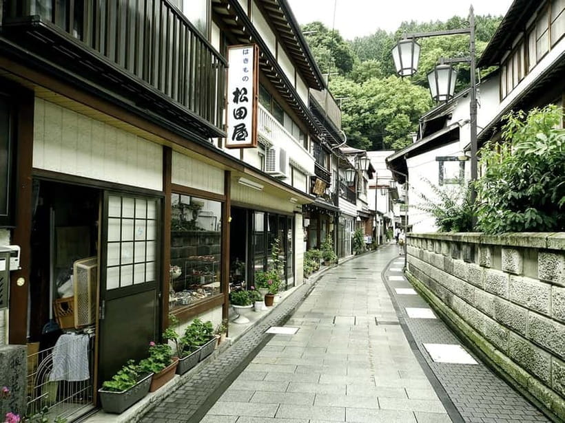 Tokyo: Nagano Snow Monkeys and Zenkoji Tour with Temples - The vehicle and guide shape the whole experience