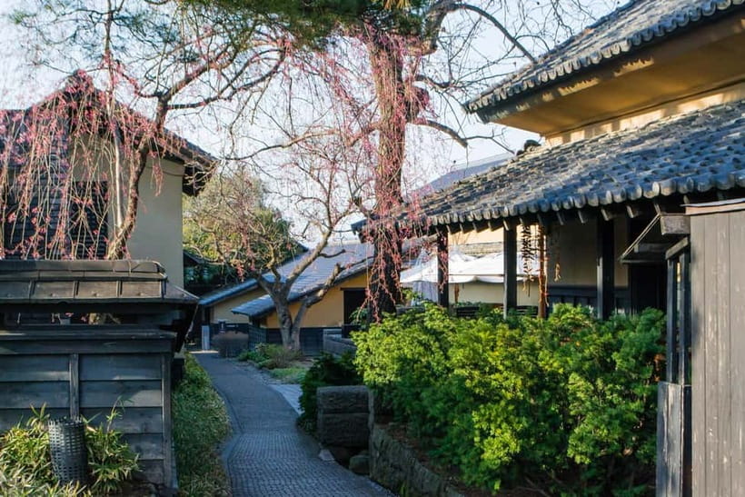 Tokyo: Nagano Snow Monkeys and Zenkoji Tour with Temples - Who should book this private route?