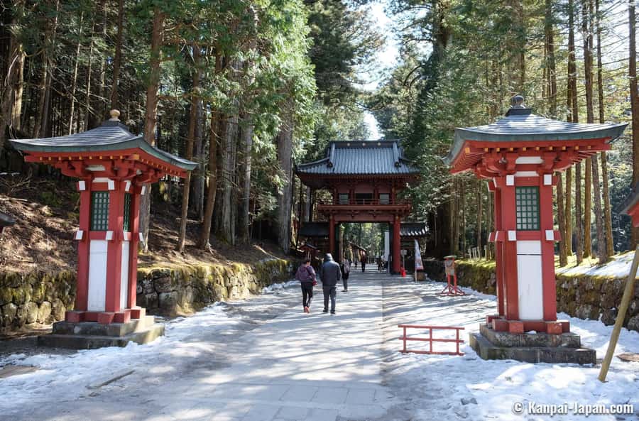 Tokyo: Nikko Day Tour Shrines, Lake Chūzenji & Kegon Falls - The driver is part of the experience