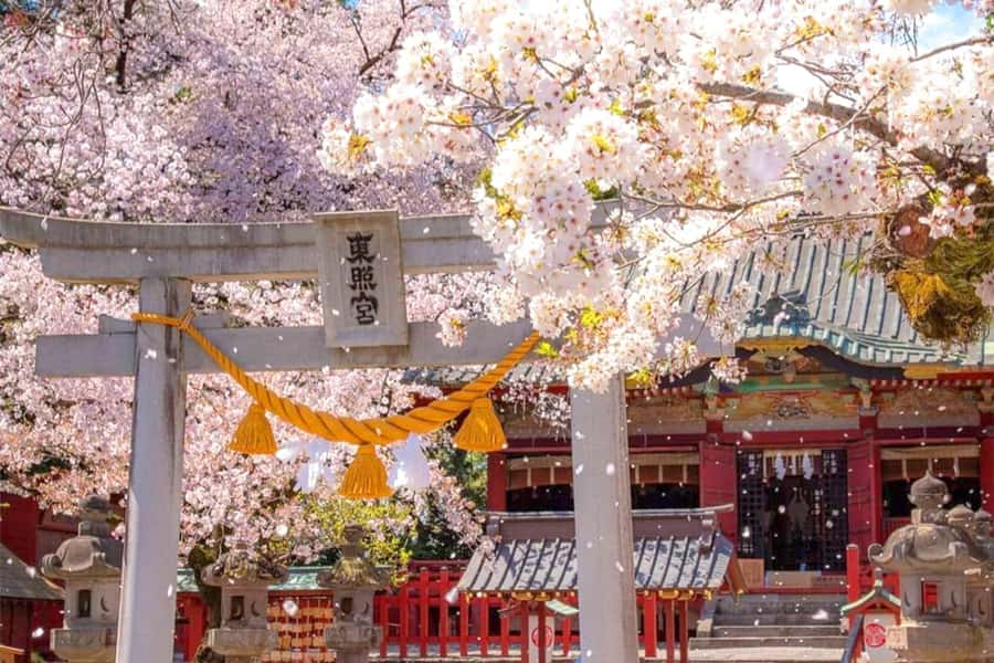 Tokyo: Nikko Day Tour Shrines, Lake Chūzenji & Kegon Falls - Why this private Nikko trip works from Tokyo