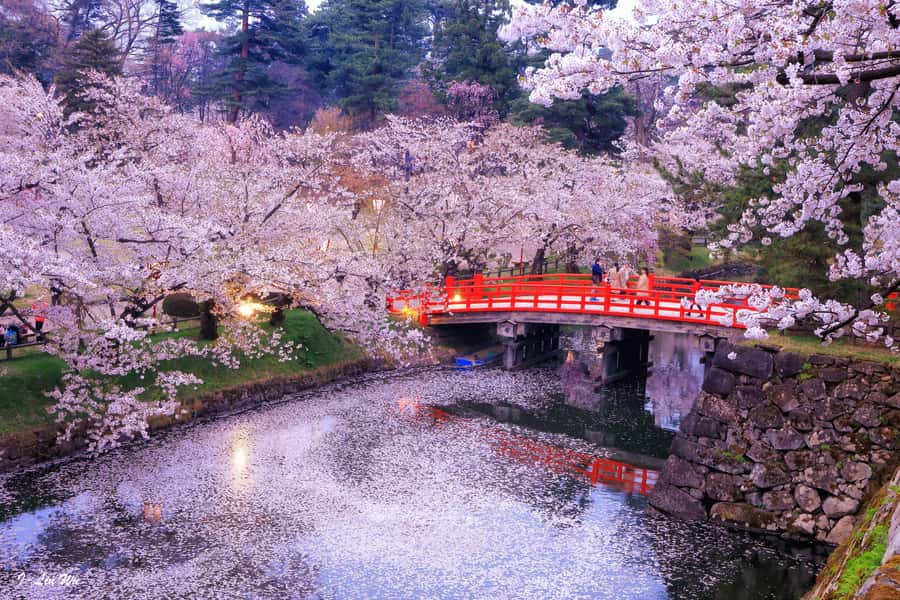 Tokyo: Nikko Day Tour Shrines, Lake Chūzenji & Kegon Falls - Shinkyo Bridge makes a graceful first stop