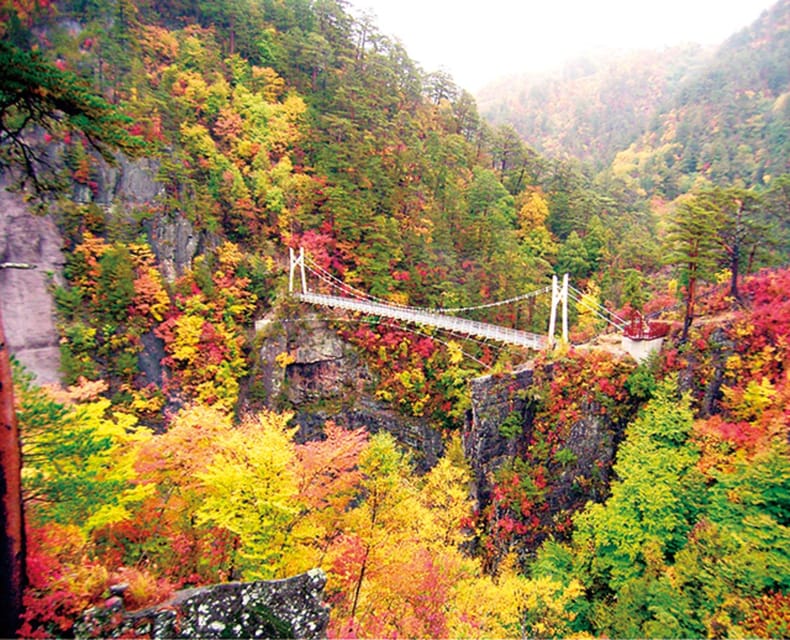 Tokyo: Nikko Day Tour with English Driver and Flexible … - Shinkyo Bridge is brief but photogenic
