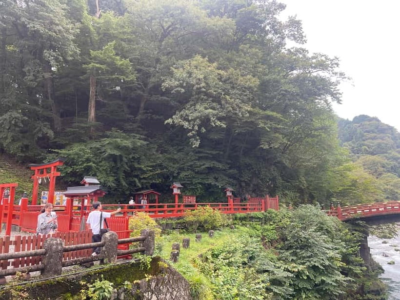 Tokyo: Nikko Private Customize Tour English Driver & Guide - Hotel pickup removes the hardest part