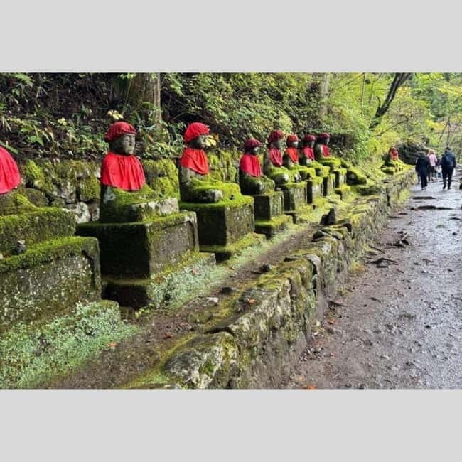 Tokyo: Nikko World Heritage Private Day Trip Hotel Pick-up - Key points to know before booking
