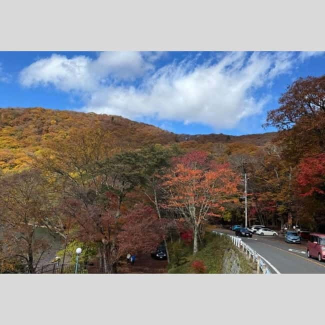 Tokyo: Nikko World Heritage Private Day Trip Hotel Pick-up - Why Nikko makes a strong day trip from Tokyo