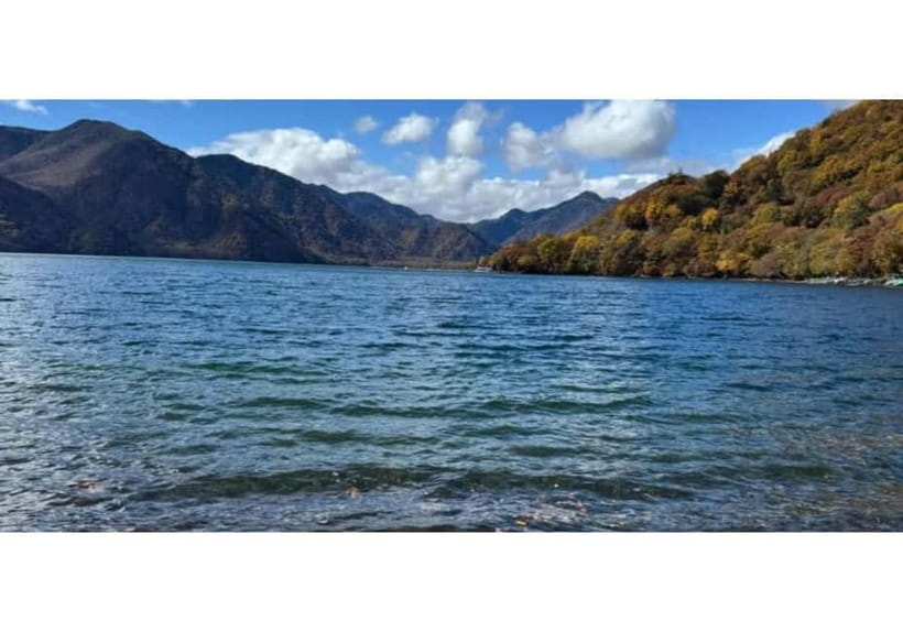 Tokyo: Nikko World Heritage Private Day Trip Hotel Pick-up - Tamozawa Imperial Villa, a valuable optional stop