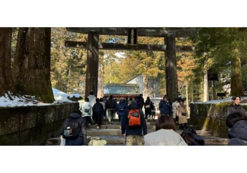 Tokyo: Nikko World Heritage Private Day Trip Hotel Pick-up - Hotel pickup and the comfort of a private vehicle