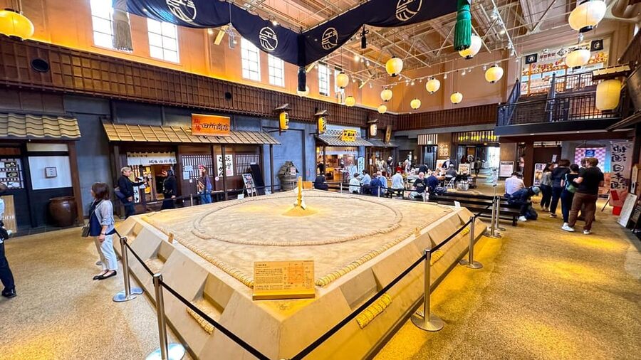 Tokyo: Not a show- a professional sumo practice with experts - Ryogoku Edo NOREN and the final half hour