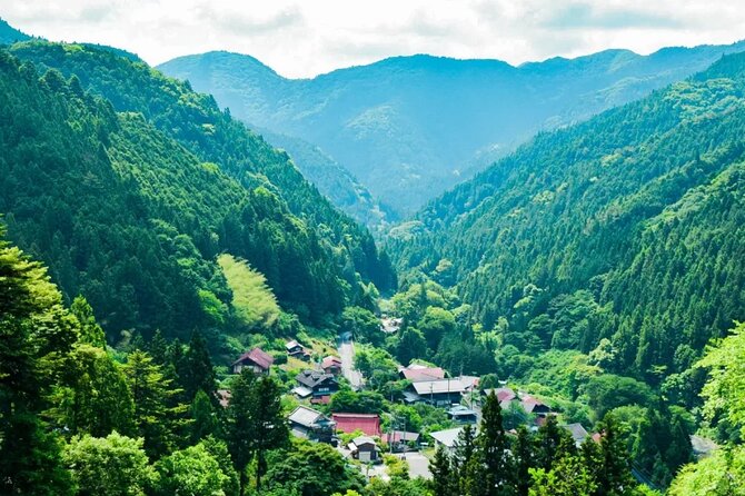 Tokyo Okutama Day Trip Tour - Hatonosu Valley and Unzen Bridge
