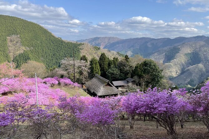 Tokyo Okutama Day Trip Tour - The optional bath and foot bath