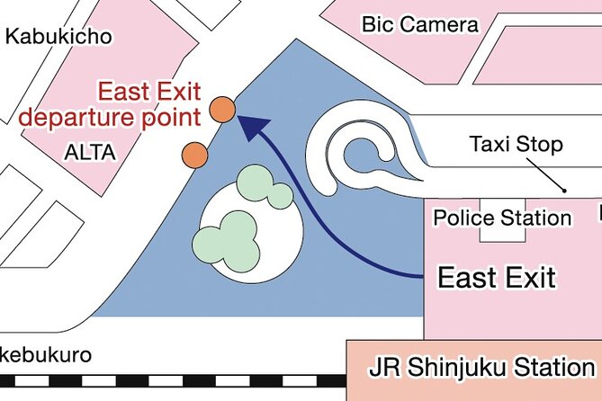 Tokyo Panoramic 1 Day: Meiji Shrine, Asakusa, Odaiba and SKYTREE® - Meiji Jingu: quiet woods in the middle of Tokyo