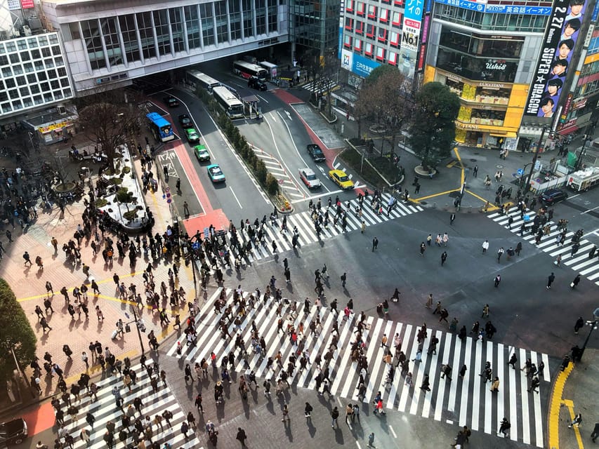 Tokyo: Personalized Private 6-Hour Tour - Is $459 good value for one private group?