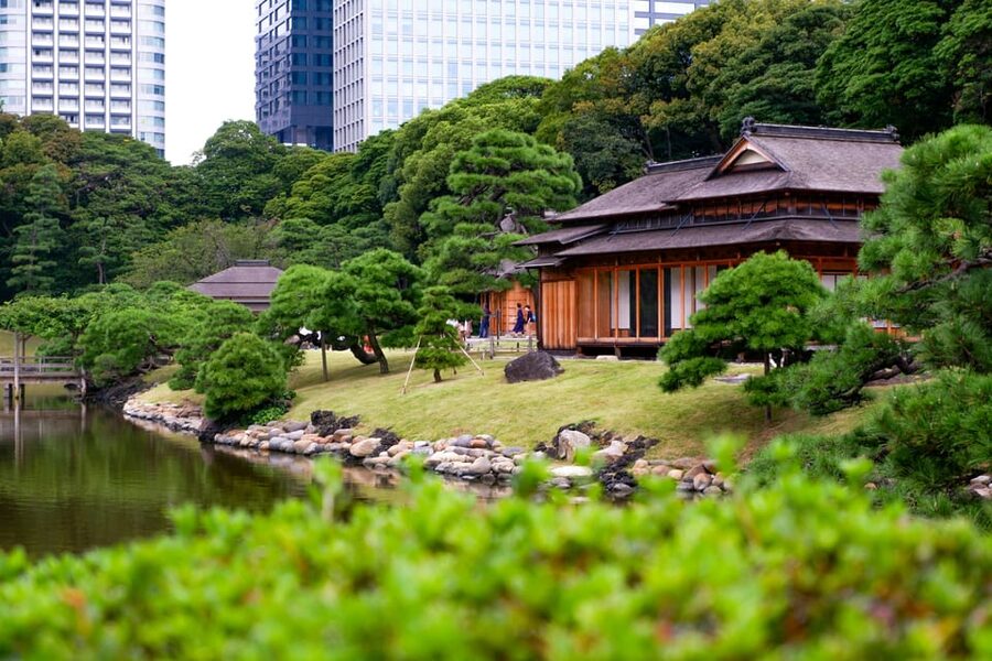 Tokyo: Personalized Private 6-Hour Tour - A private Tokyo day built around your interests
