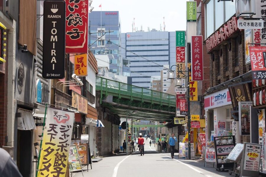 Tokyo: Personalized Private 6-Hour Tour - Why the guide matters more than the checklist