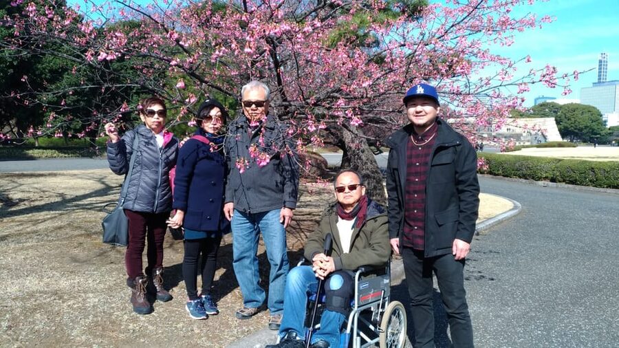 Tokyo: Private City Highlights Tour with Local Guide - Meiji Jingu and Harajuku’s Sharp Contrast