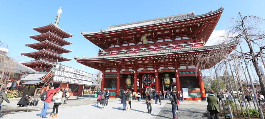 Tokyo: Private City Highlights Tour with Local Guide - Nezu, Akihabara, and Other Choices