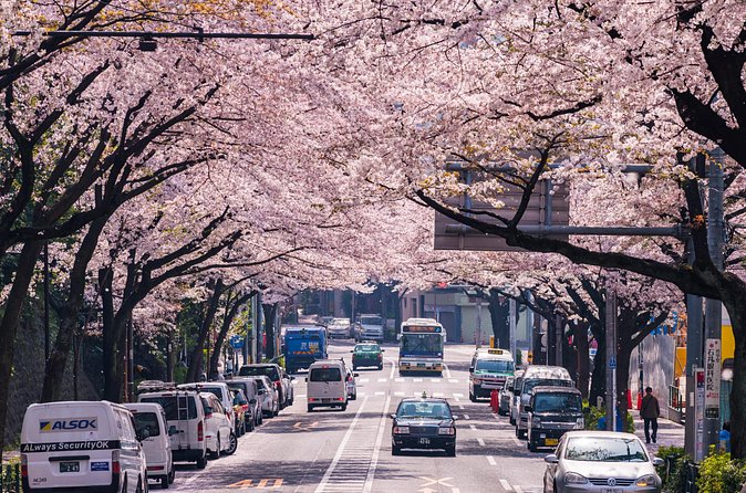 Tokyo Private Customizable Tour with English Speaking Chauffeur - Shibuya Crossing Is a Short Walk From the Car