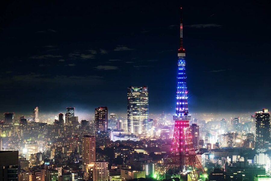 Tokyo: Private Customizable Tour with Transfer - Comfort, timing, and city traffic