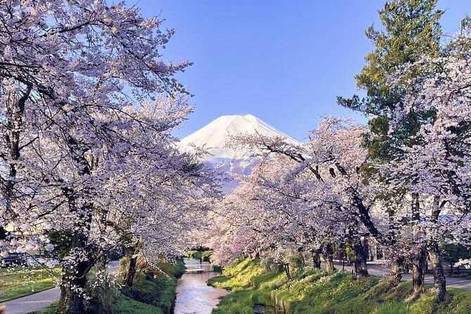 Tokyo Private Day Tour by Car with English speaking Driver - Tokyo Tower and the retro skyline