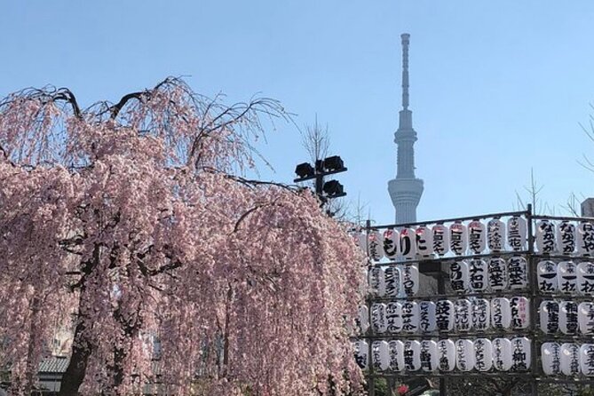 Tokyo Private Day Tour by Car with English speaking Driver Guide - Shibuya Crossing delivers the quick Tokyo rush