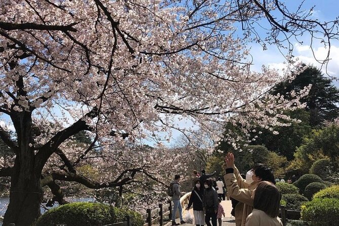 Tokyo Private Day Tour by Car with English speaking Driver Guide - Takeshita Street shows Harajuku’s playful side